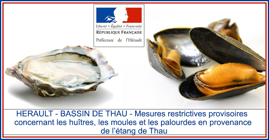 Hérault - HERAULT - BASSIN DE THAU - Mesures restrictives provisoires concernant les huîtres, les moules...