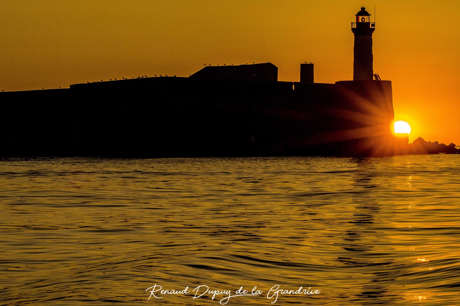 Cap d'Agde - HÉRAULT - CAP D'AGDE - Brescou, dans la lumière du matin et du soir