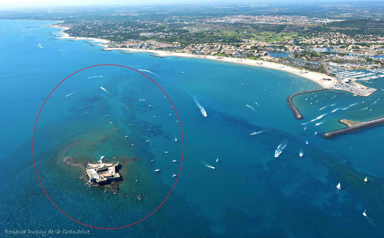 Cap d'Agde - CAP D'AGDE ( 34 ) / COP 24 : PROTEGER LES HERBIERS DE POSIDONIES C'EST PARTICIPER A LA LUTTE CONTRE LE CHANGEMENT CLIMATIQUE !
