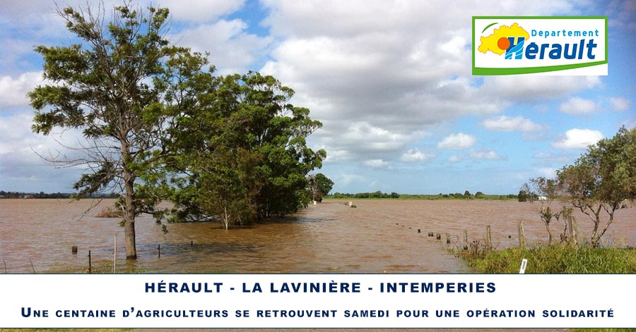 Hérault - HÉRAULT - LA LAVINIÈRE - INTEMPERIES - Une centaine d’agriculteurs se retrouvent samedi pour une opération solidarité