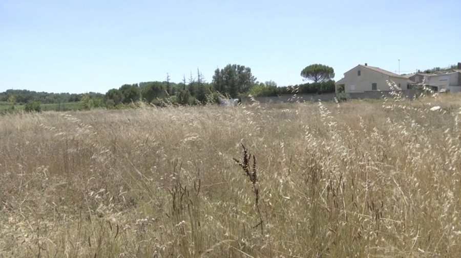 Occitanie - CANICULE : 8 DÉPARTEMENTS D'OCCITANIE PLACÉS EN ALERTE ORANGE