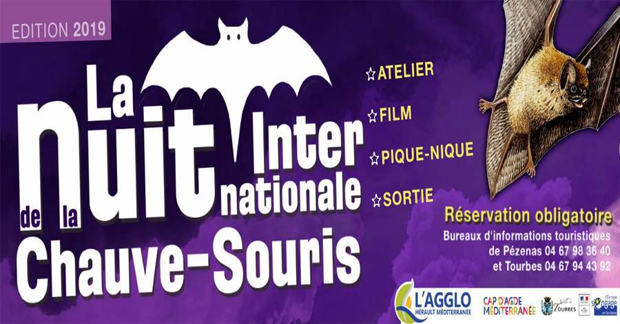 Tourbes - Nuit internationale de la chauve-souris le jeudi 8 août 2019
