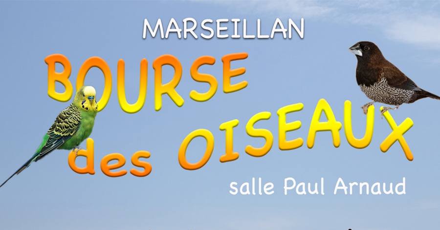 Marseillan - Bourse aux oiseaux