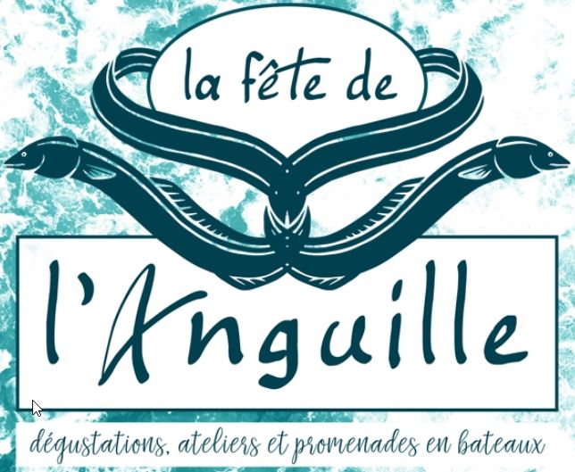 Marseillan - La Fête de l'Anguille !