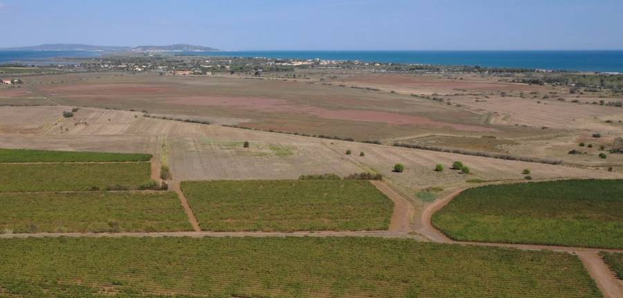 Cap d'Agde - Opération de Police dans la Réserve Naturelle du Bagnas