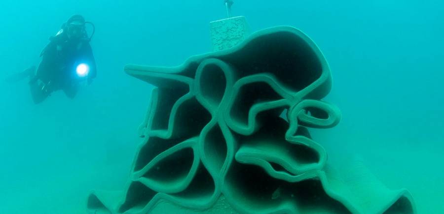 Cap d'Agde - TOUT SAVOIR SUR LA RESTAURATION ECOLOGIQUE POUR LE LITTORAL AGATHOIS