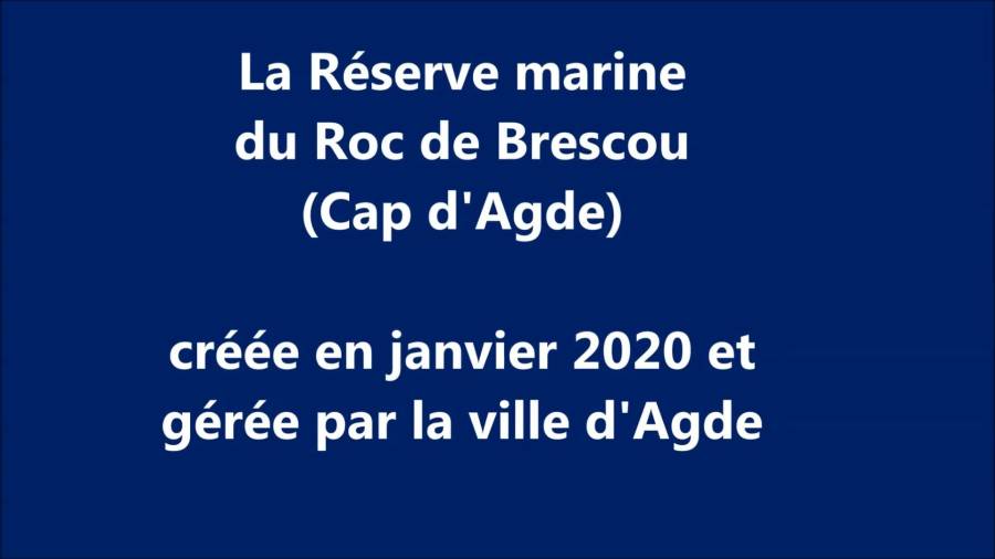 Cap d'Agde - Les richesses de la biodiversité de la Réserve marine du Roc de Brescou, au large du Cap d'Agde