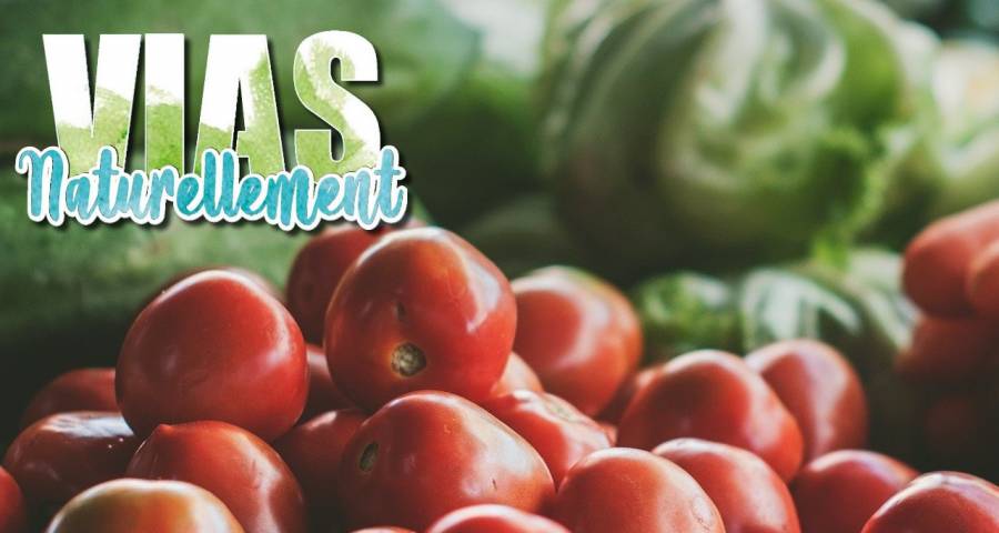 Vias - VIAS NATURELLEMENT : PROGRAMME SUR LE THÈME DES COMMERÇANTS & ARTISANS
