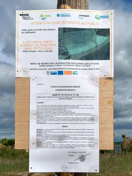 Hérault - Portiragnes - La lagune de la Maïre à Portiragnes interdit jusqu'au 15 Juillet !