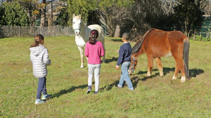 Hérault - Montpellier - Réouverture de l'Écolothèque pour les établissements extérieurs et les crèches