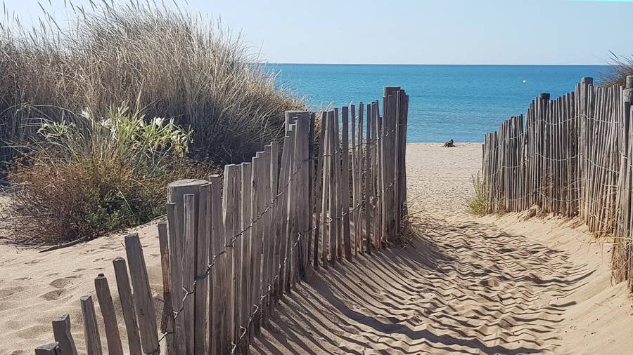 Hérault - La lagune de la Grande Maïre reste fermée au public pour le moment !