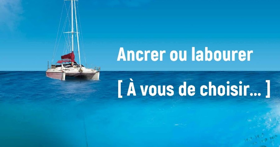 Hérault - Campagne Ecogestes Méditerranée 2020 : Pour la protection des herbiers de Posidonie