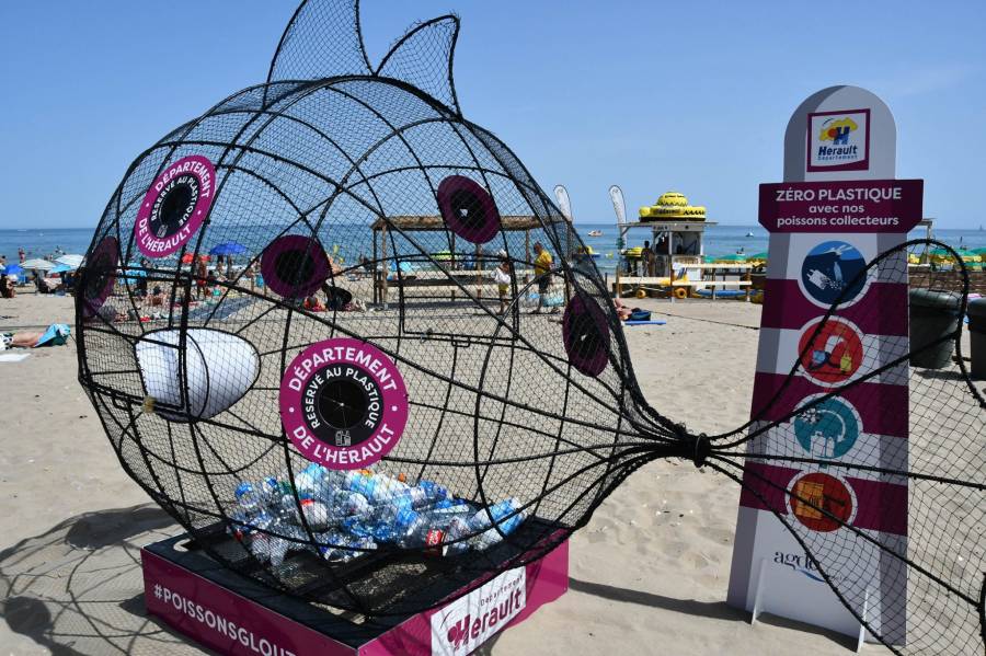 Cap d'Agde - Les poissons gloutons sont de retour sur les plages !