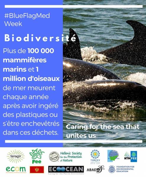 Hérault - Cet été : joignons nos efforts pour protéger le milieu marin !