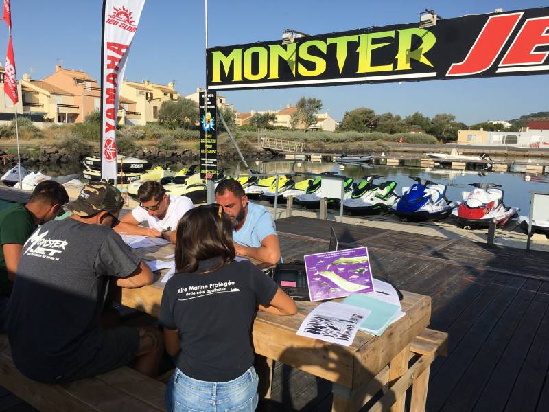 Cap d'Agde - Formation et sensibilisation à l'environnement marin et aux cétacés !