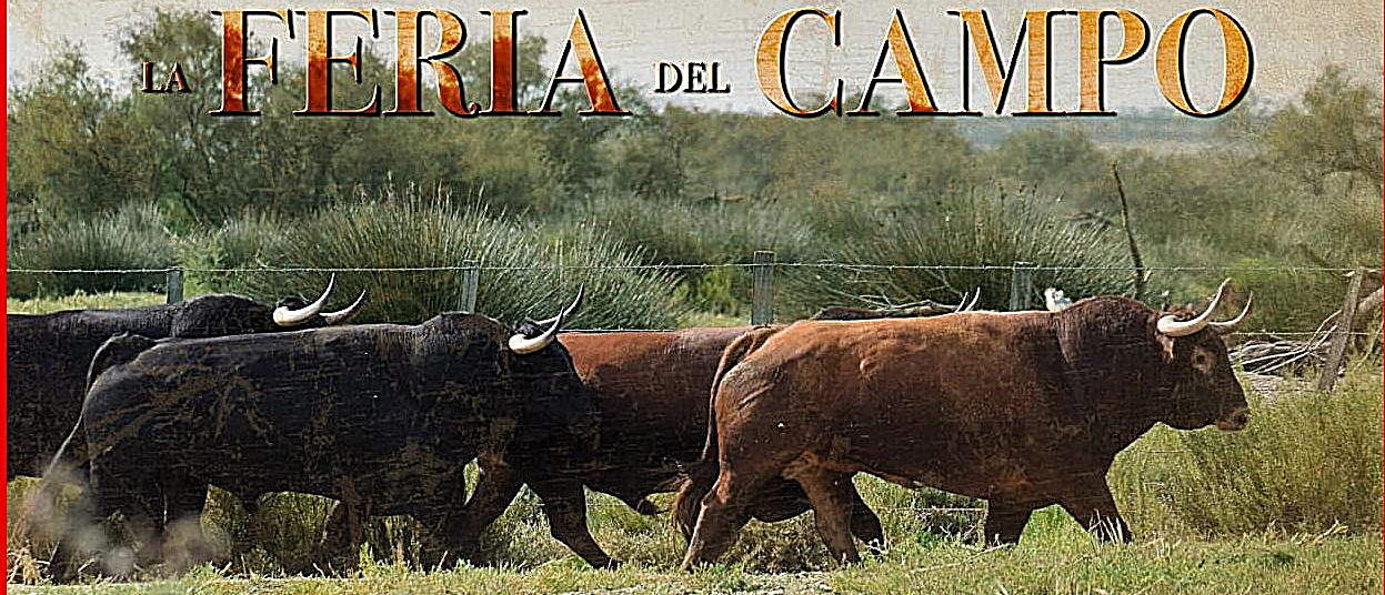 Hérault - Béziers - 14 juillet : Feria del Campo aux Monteilles