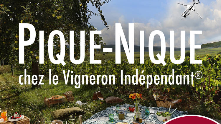 Hérault - Les Vignerons indépendants invitent les amateurs de vins à partager un pique-nique !