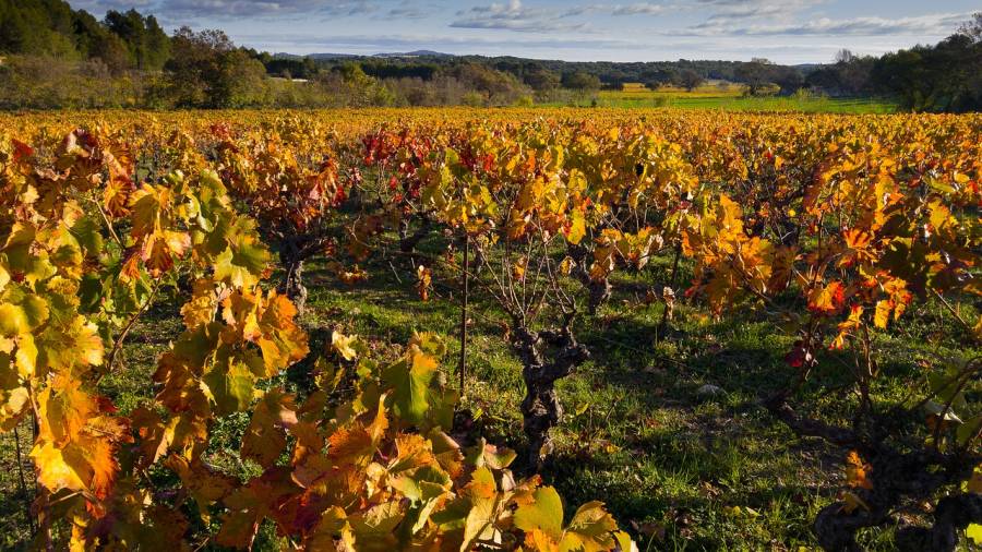 Hérault - Savez-vous combien d'habitants vivent dans les 20 communes de l'Agglo Hérault Méditerranée ?