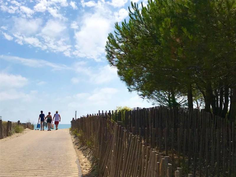 Cap d'Agde - Protégeons le cordon dunaire : respectons les accès plage !