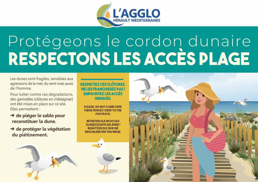 Cap d'Agde - Protégeons le cordon dunaire : respectons les accès plage !
