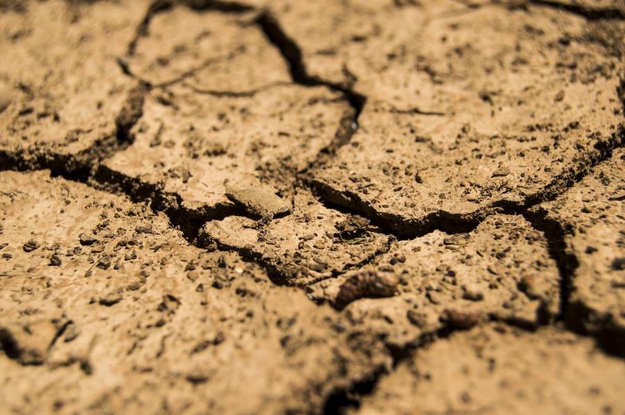 Hérault - Etat de catastrophe naturelle au titre de la sécheresse de cette saison !