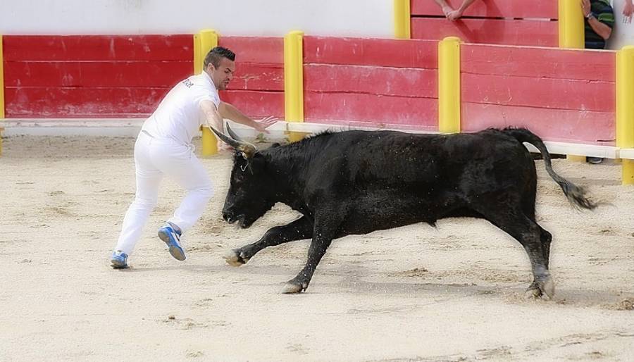 Cap d'Agde - Jeudi 30 juillet : Taureau Piscine en or aux Arènes !