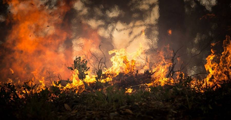 Hérault - L'Hérault est placé en vigilance feux de forêts rouge !