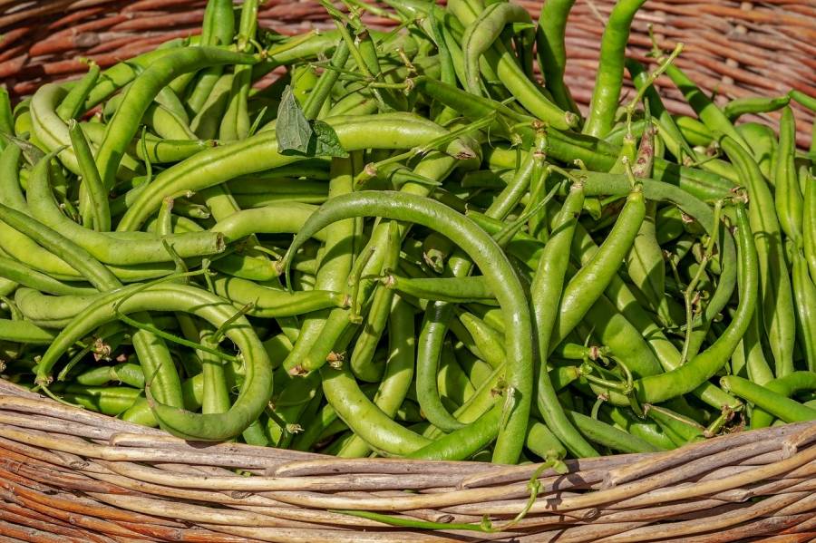 Occitanie - Alimentation durable : la Région fait appel aux citoyens !