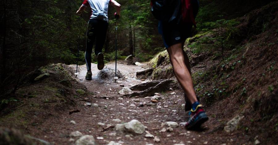 Sports nature - France - Trail The World lance un nouvel événement phare à l'été 2021 : Le Trail de France !