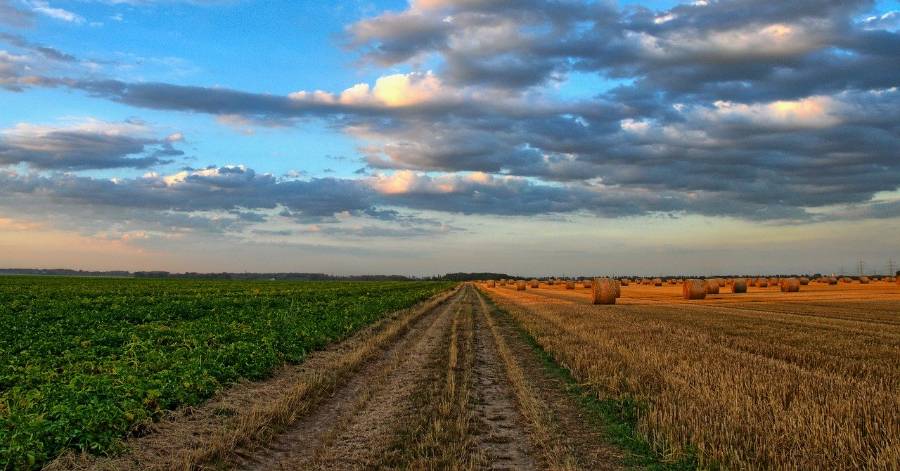 Occitanie - L'Etat autorise le report de la période des cultures dérobées