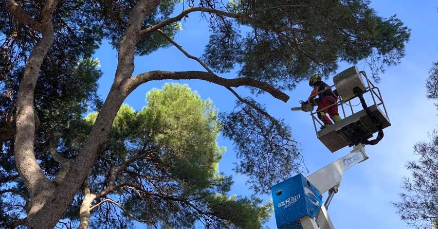 Agde - Préparation de la rentrée des classes par le service d'élagage !