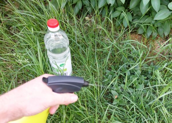 Bessan - Remplacer les herbicides par des produits naturels : c'est possible !
