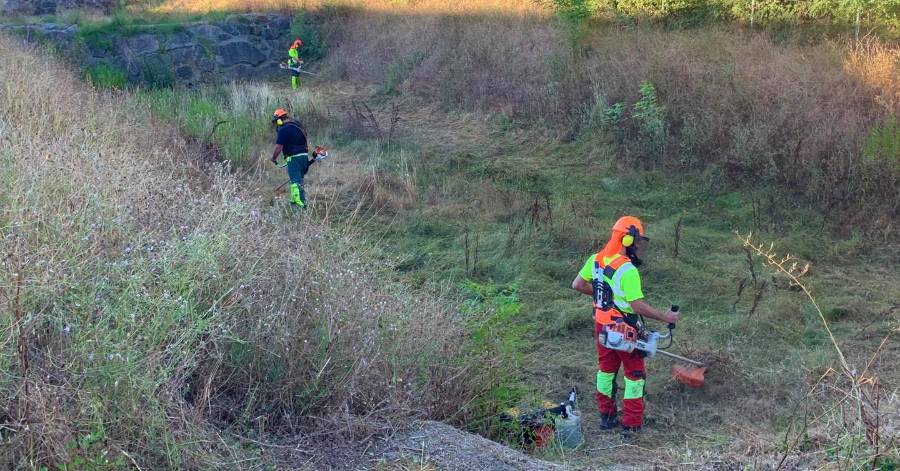 Montagnac - Prévention des inondations : Les agents de l'Agglo débroussaillent les bassins de rétention du territoire