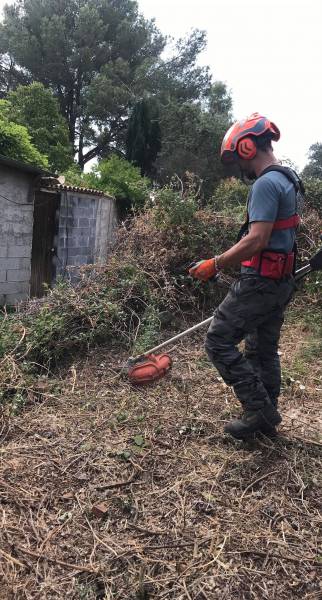 Bessan - Loïc Benezech propose ses services pour des travaux forestiers et agricoles