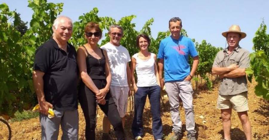Hérault - Les Chambres d'agriculture d'Occitanie cultivent l'innovation !