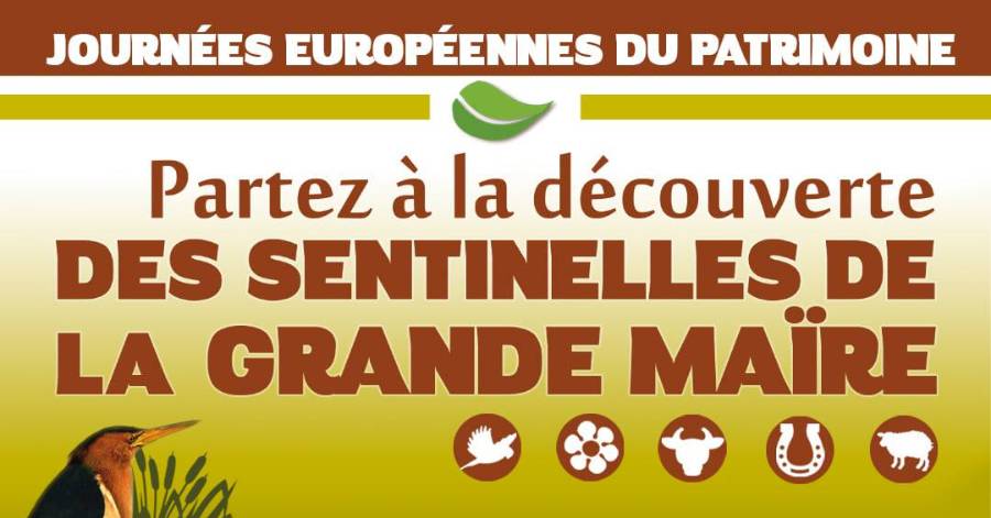 Portiragnes - Partez à la découverte des sentinelles de la Grande Maïre !