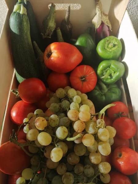 Bessan - Avec les Paniers d'Ingrid, des fruits et légumes de producteurs à domicile