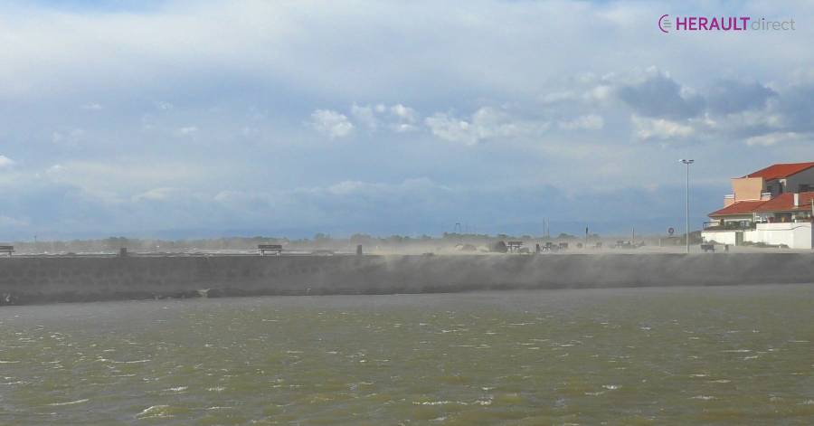 Cap d'Agde - VIDEO - La tramontane souffle fort sur le Cap et le Grau !