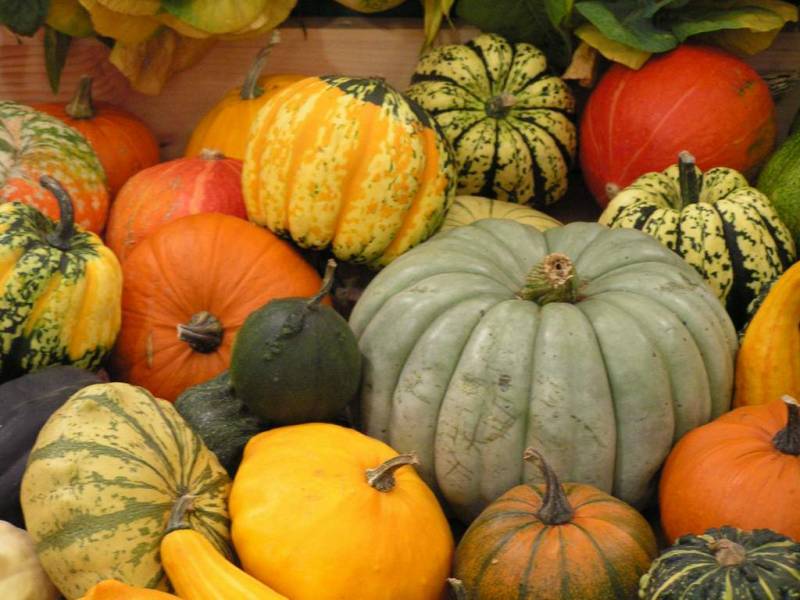 Bessan - Le grand marché agricole et artisanal Tuque en Trouille se prépare : producteurs, inscrivez-vous !