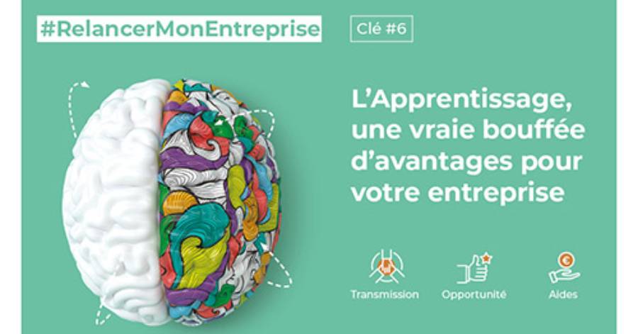 Hérault - L'Apprentissage, une vraie bouffée d'avantages pour votre entreprise !