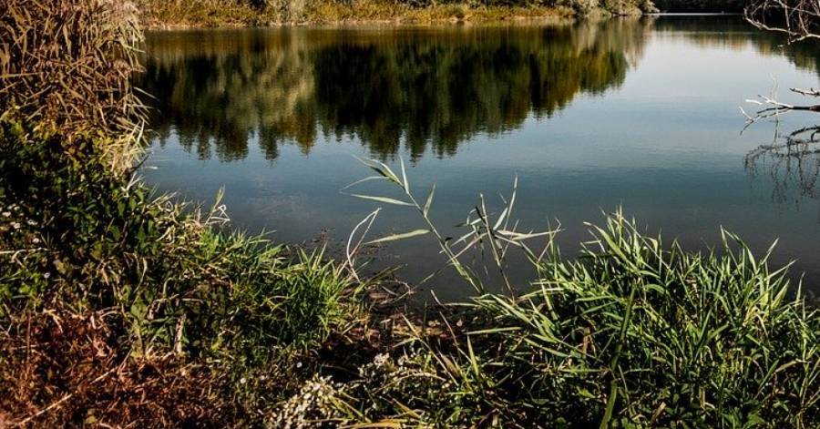 Hérault - Cyanobactéries sur le fleuve Lez – levée des interdictions