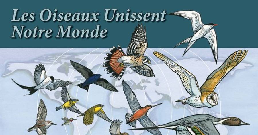Hérault - World Migratory Bird Day : Journée mondiale des oiseaux migrateurs