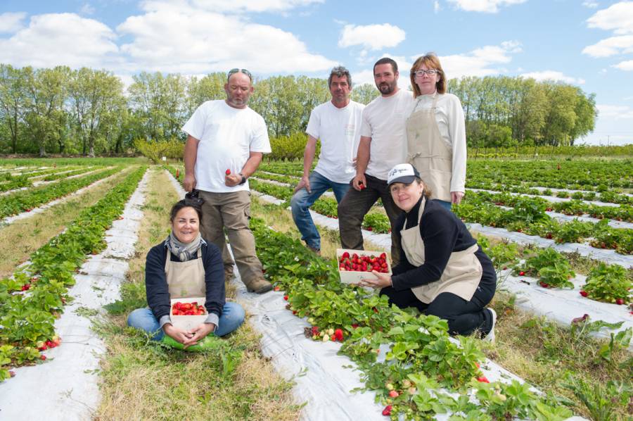 Bessan - De la plante à l'assiette en alliant agriculture et tourisme avec la cueillette de Caillan à Bessan