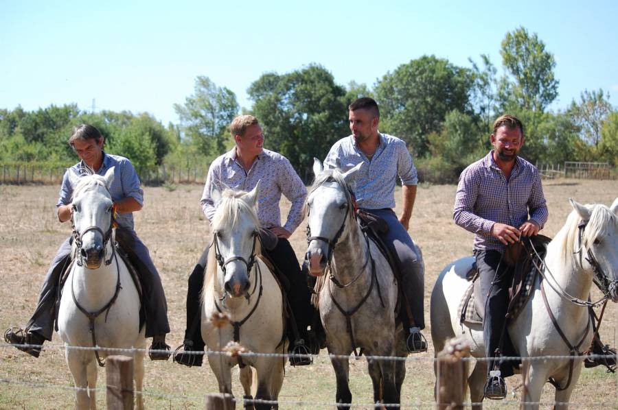 Bessan - Evasion garantie à Bessan avec la manade Lopez pour découvrir le monde camarguais