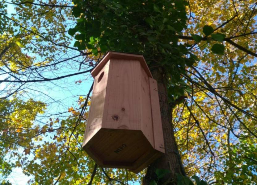 Bessan - Vnf offre des nichoirs pour oiseaux et des refuges pour chauves-souris aux habitants du territoire