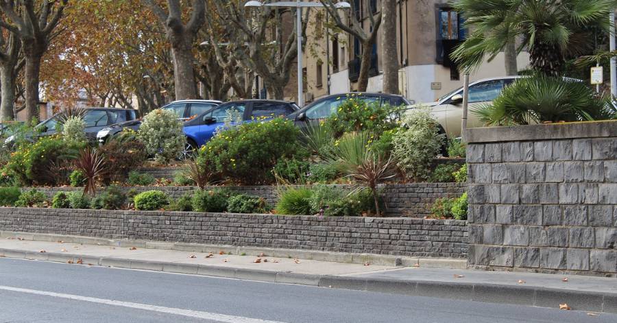 Agde - Agathé : La promenade et les platanes !