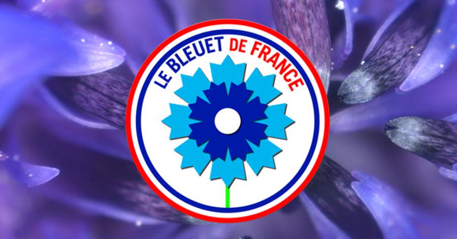 France - Le bleuet de France, symbole de mémoire et de solidarité