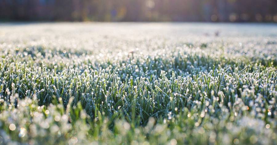 Hérault - Météo : Il a fait froid ce dimanche matin !