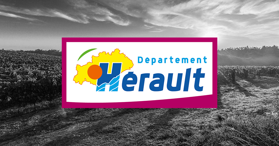 Hérault - Culture, expos, sport, animations et ateliers : on retrouve le public !