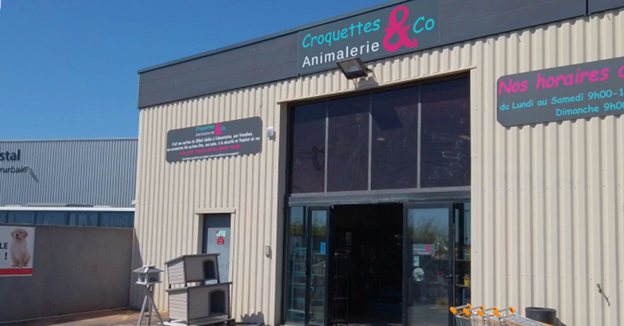 Agde - Un appel pour offrir des cadeaux de Noël aux chiens de SDF !